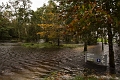 parking flood